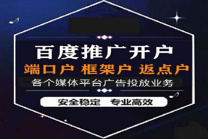 SEM广告投放中的数据监控与调整策略——以某品牌营销案例为例